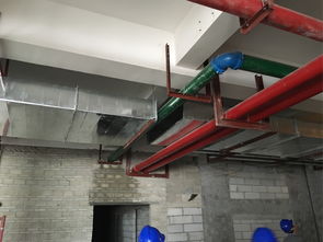 揭秘水电安装 刷绿色油漆的水管是什么？